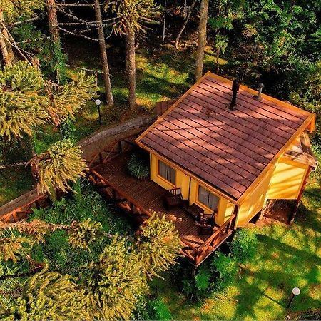 Villa Flor Ecoresort Nova Petropolis Exteriör bild