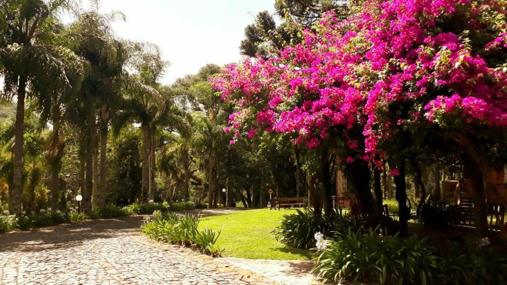 Villa Flor Ecoresort Nova Petropolis Exteriör bild
